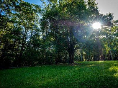 486 Davis Road, Jiggi