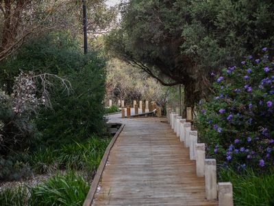 57 Mariposa Gardens, Success