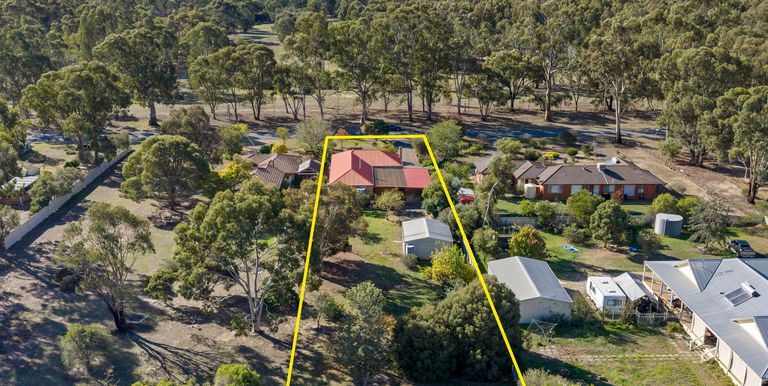 31 Shiffner Street, Violet Town