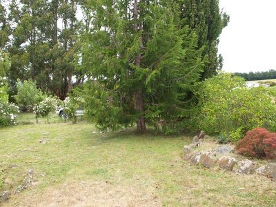256 Braeside Road, Franklin