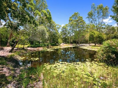 28 Wattlebird Drive, Doonan