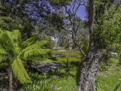 242 Woolleys Road, Lonnavale