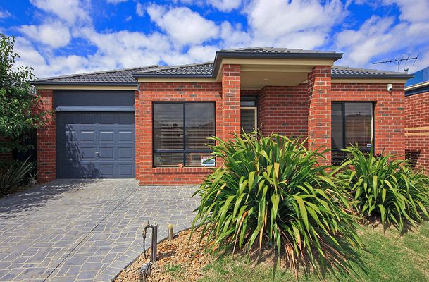 16 Cheltenham Close, Craigieburn