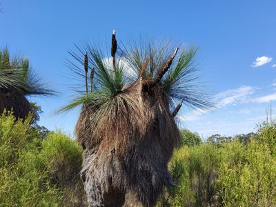 Lot 12 Heathcote-Nagambie Road, Moormbool West