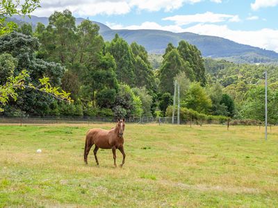 4 Combes Road, Longley