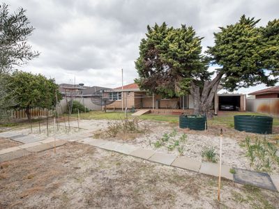 33 Quadea Road, Nollamara