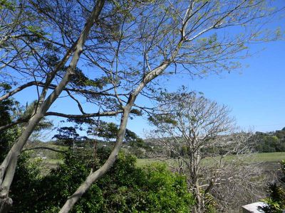 Maleny