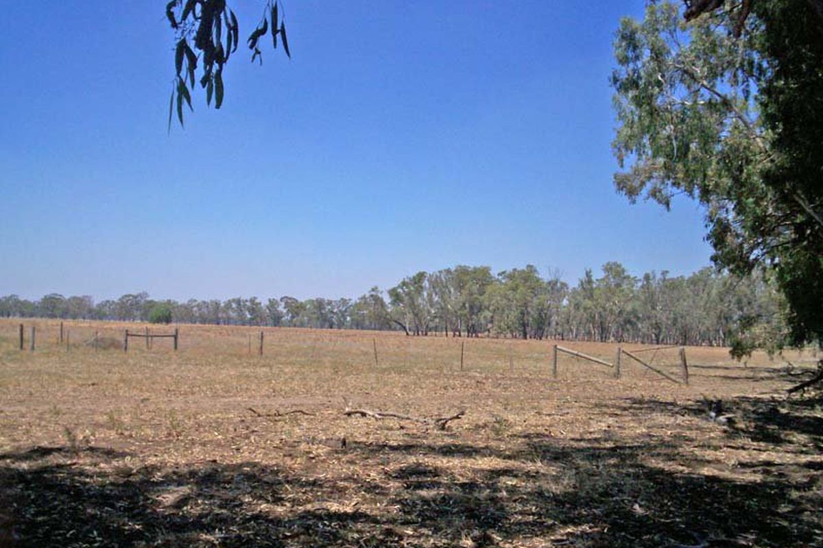 890 Neal Road, Undera