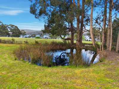 222 Cygnet Coast Road, Lymington