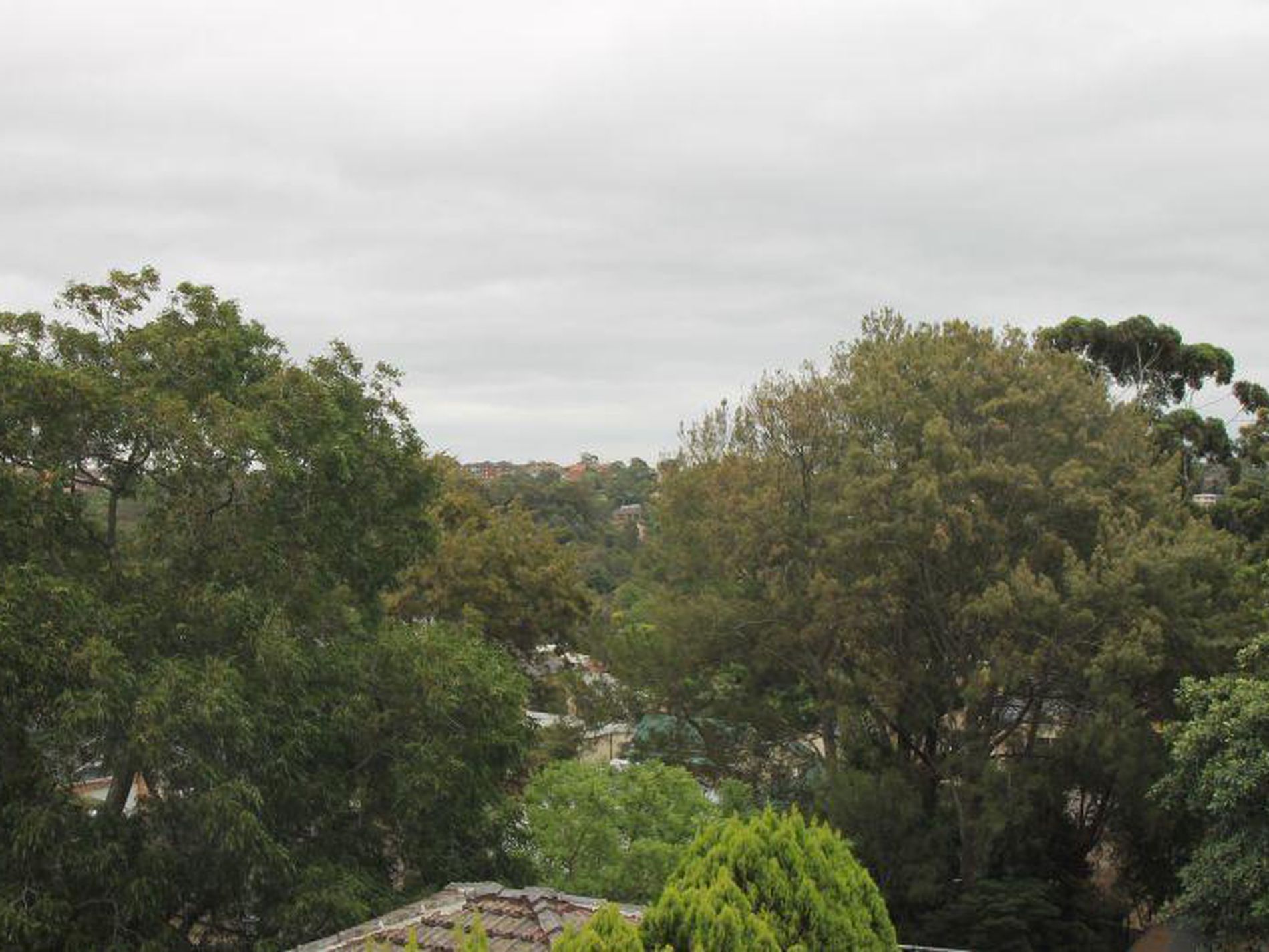 61 Denison Street, Arncliffe