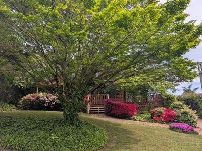 6 Lambert Street, Tawonga