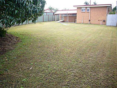 3 Delsia Street, Rochedale South