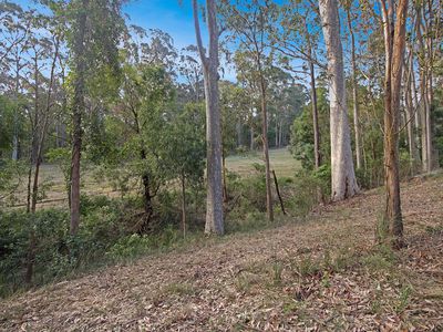 342 Old Highway, Narooma