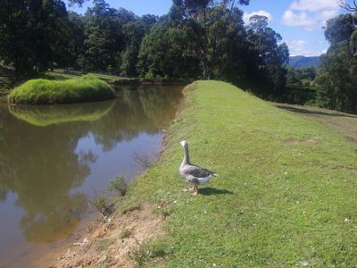 438 Duffy's Lane, Kangaroo Valley