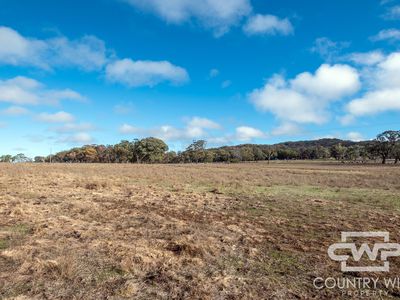 1642 Torrington Road, Stannum