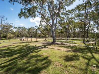 295 Bruce Crescent, Wallarah