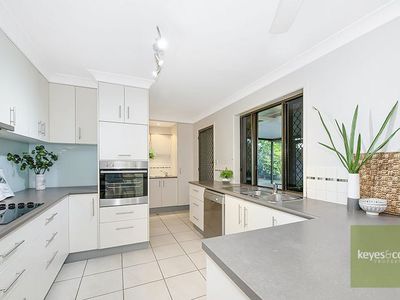 8 Melaleuca Street, Annandale