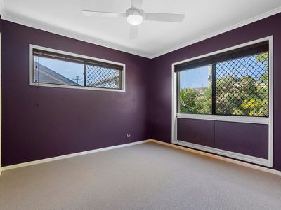 8 Belinda Crescent, Springwood