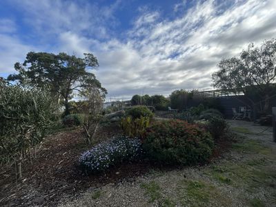 Dodges Ferry