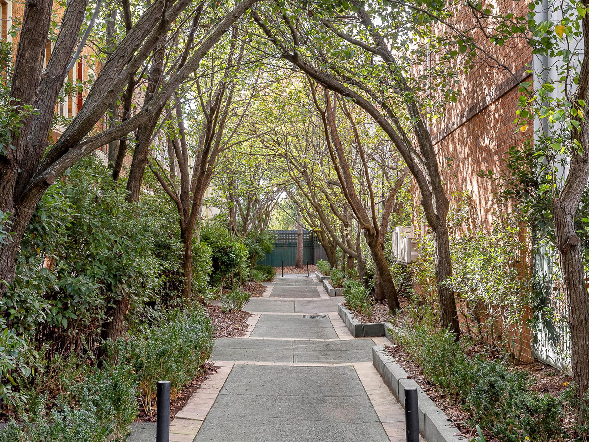 15 Cromwell Place, South Yarra