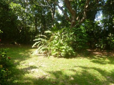 14 Ann Street, Cooktown