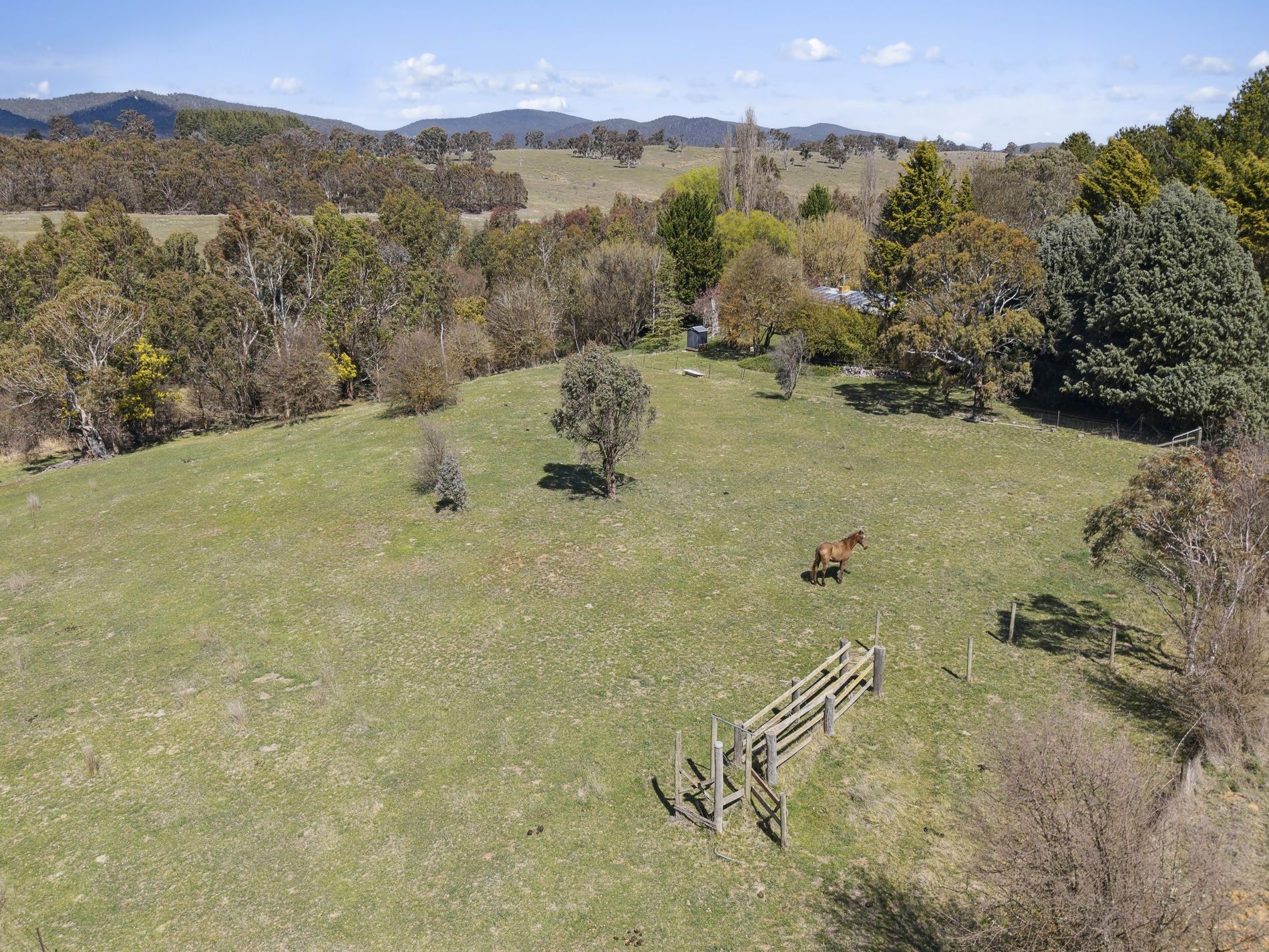 453 Woolcara Lane, Primrose Valley