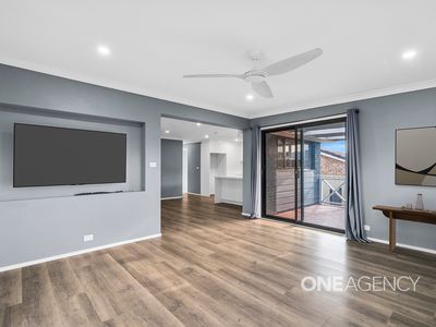 17 Coconut Drive, North Nowra