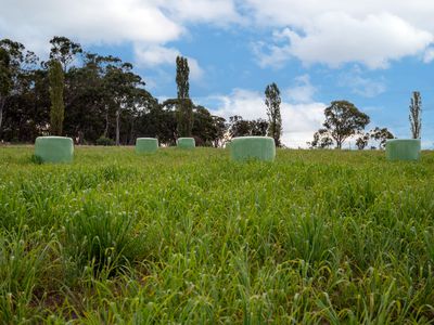 Lot Plain View Aggregation, 916 Emmaville Road, Glen Innes