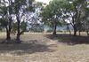 Lower Lewis Ponds, Orange