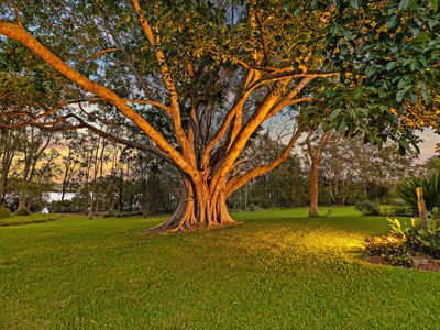 3 / 15 Doonella Street, Tewantin