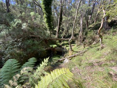 124 Gumms Road, Harolds Cross