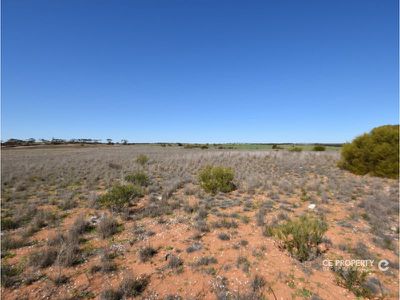 122 / East Front Road, Younghusband