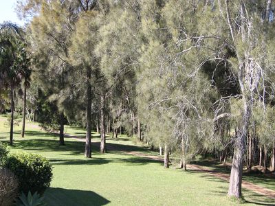 26 Mirage Drive, Tuncurry