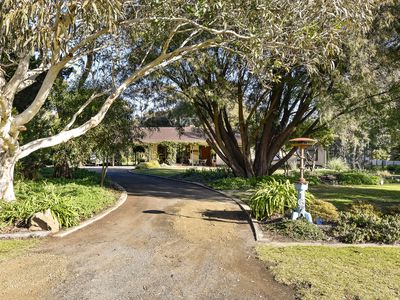 167 Williams Road, Millicent