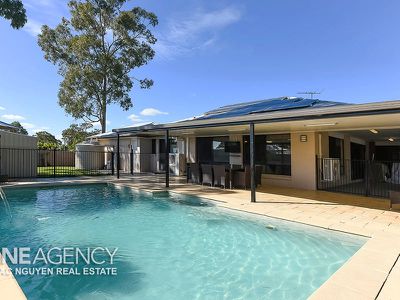 12 Trinity Close, Forest Lake