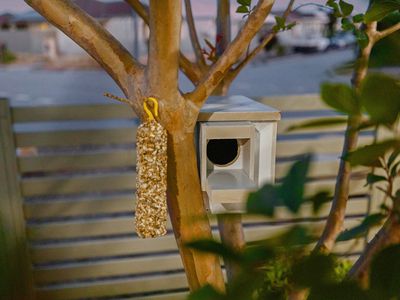 13 Pershing Link, Harrisdale