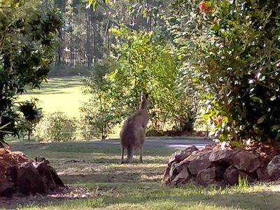 3193 Old Gympie Road, Mount Mellum