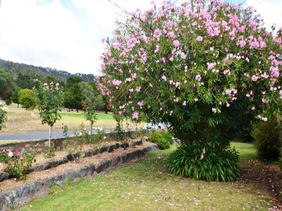 24 Fairway Avenue , Mount Beauty