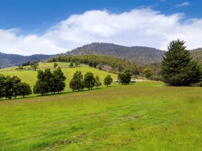 445 Sheoak Road, Judbury