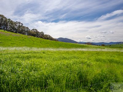 275 Soldier Settlers Road, Tallangatta Valley