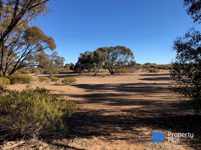 60D Mt. Kerang Road, Buckrabanyule