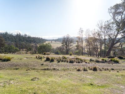 "Goat Gully/Old Hut Hill" Lemont Road, Lemont