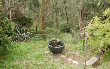 113  Old Belgrave Road, Upwey