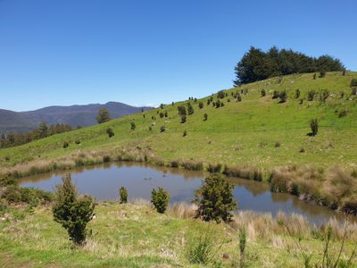 Lot 1 (51 Acres) Coal Mine Road, Kaoota