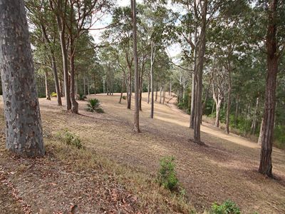 390 Ridge Road, Central Tilba