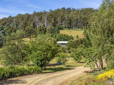 99 Britcliffes Road, Geeveston