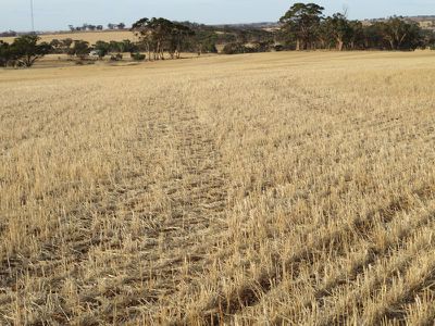 10352 / Cunderdin-Quairading Road, Cunderdin