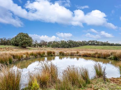 62 Davis Lane, Grabben Gullen