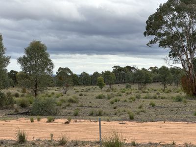 572 Box Ridge Road, Binnaway
