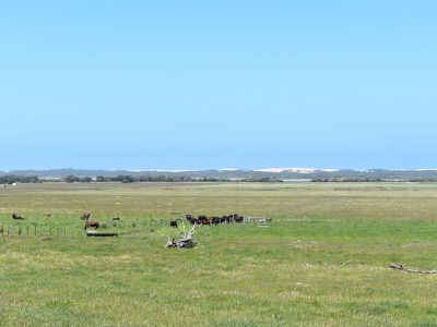 1404 Canunda Frontage Road, Millicent